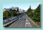 19_Wellington Rush Hour